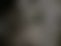 BottleOpenersNow.Com