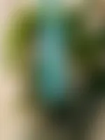 BottleOpenersNow.Com