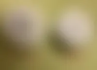 BottleOpenersNow.Com