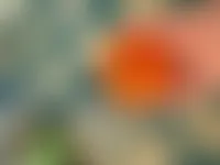 BottleOpenersNow.Com