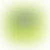 Lime Green - Bottle Openers Now