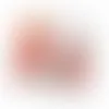 2oz. Handfuls - Assorted Fish - Bottle Openers Now