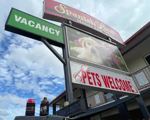 BottleOpenersNow.Com