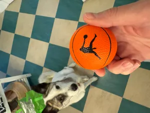 BottleOpenersNow.Com