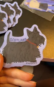 BottleOpenersNow.Com