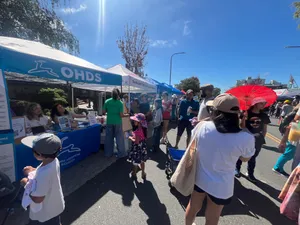 BottleOpenersNow.Com