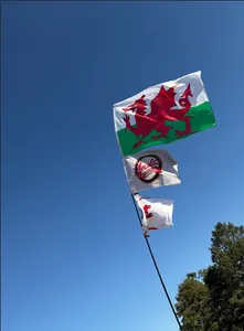 BottleOpenersNow.Com - Rectangle Flag