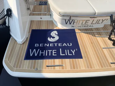 Logo Floor Mats - Very nice