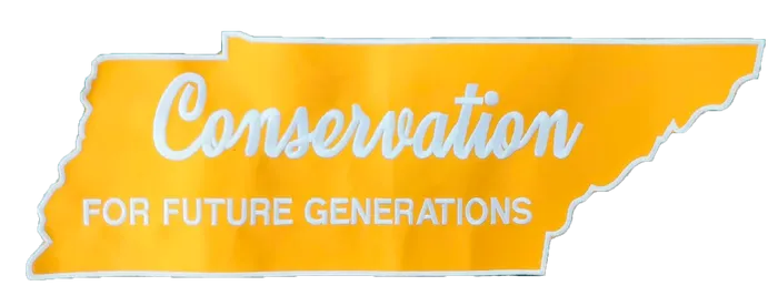 BottleOpenersNow.Com