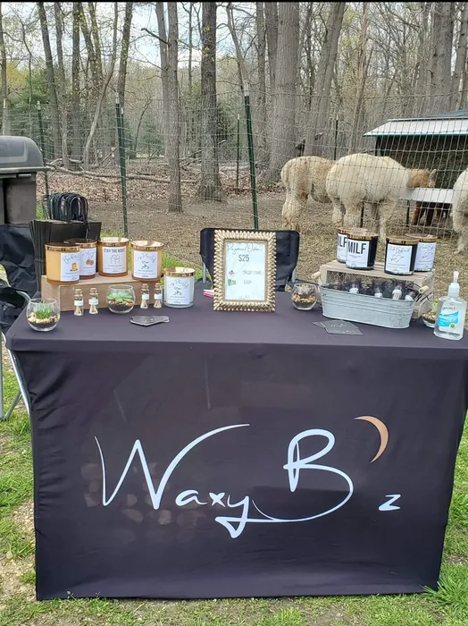 BottleOpenersNow.Com