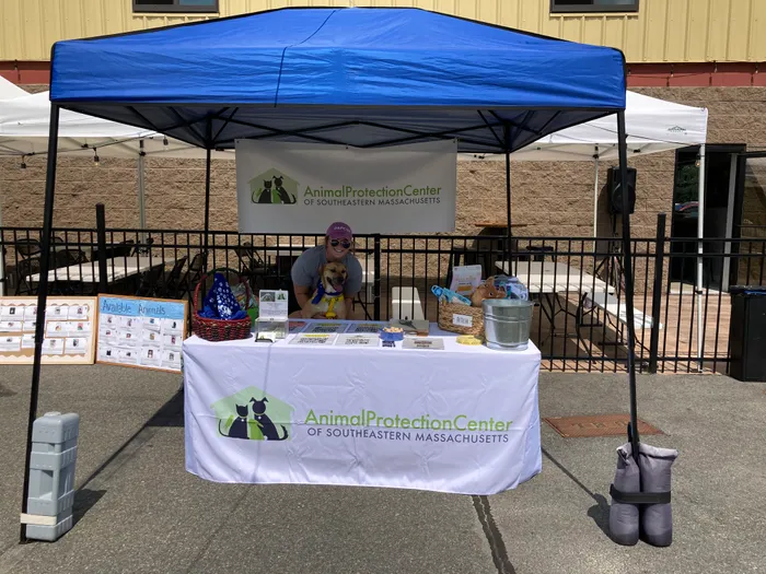 BottleOpenersNow.Com