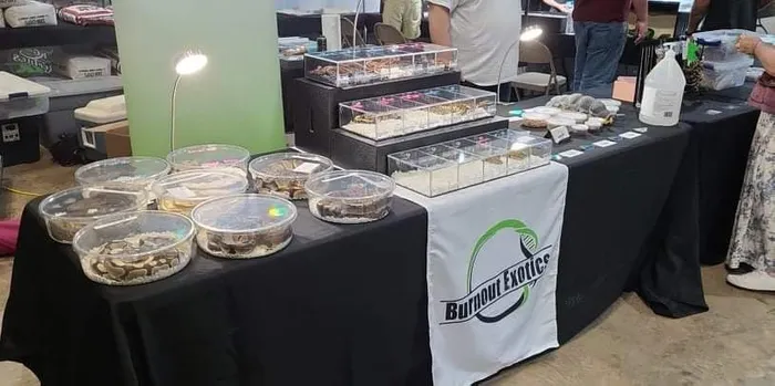 BottleOpenersNow.Com