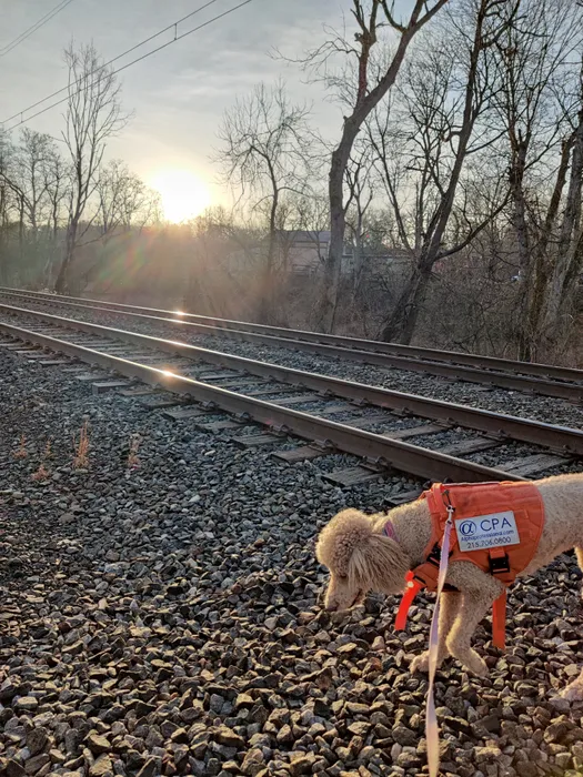 BottleOpenersNow.Com