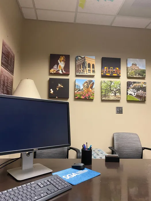 BottleOpenersNow.Com