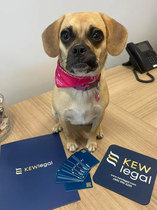 BottleOpenersNow.Com