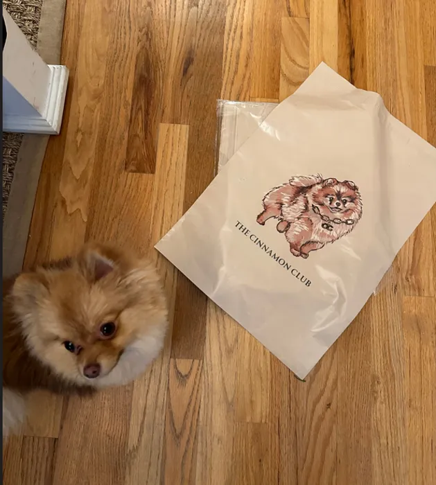 BottleOpenersNow.Com - Custom Poly Mailer