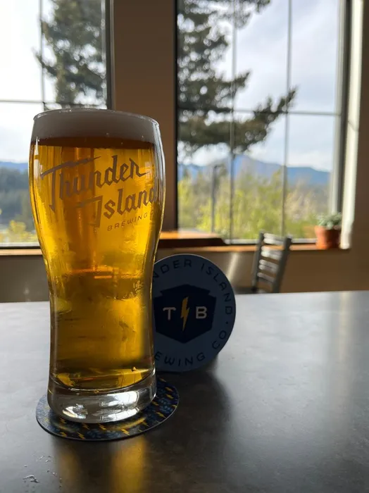 BottleOpenersNow.Com - Pulpboard Coasters