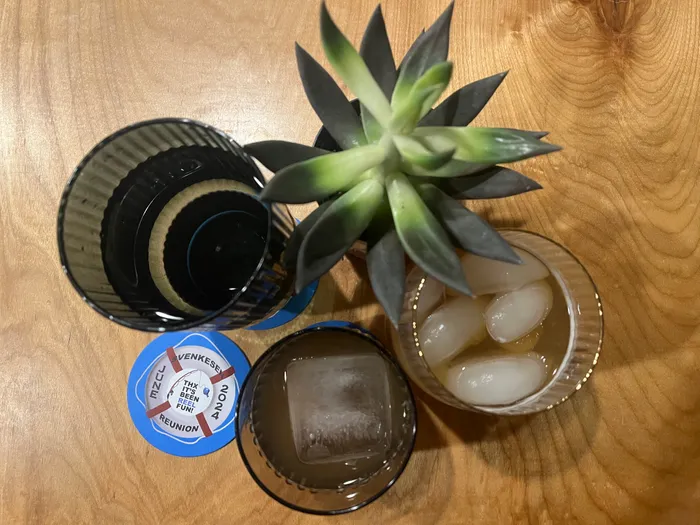 BottleOpenersNow.Com - Super Absorbent Bar Coaster