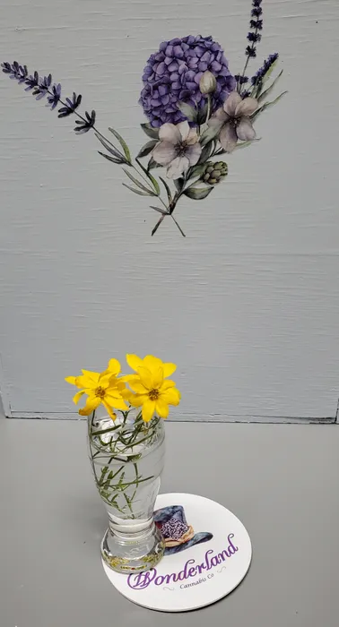 BottleOpenersNow.Com - Pulpboard Coasters