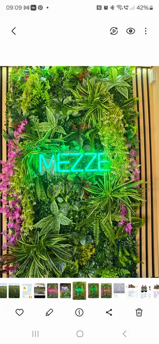 BottleOpenersNow.Com - Custom Neon Sign