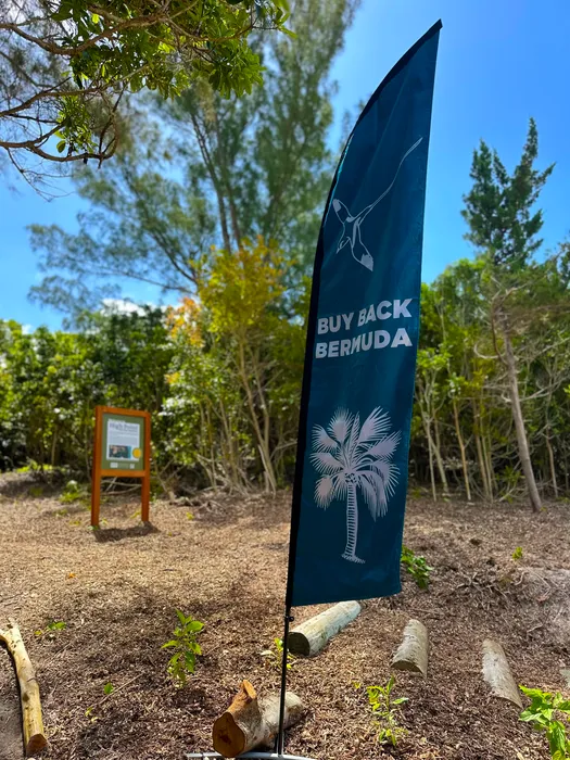 BottleOpenersNow.Com - Feather Flag