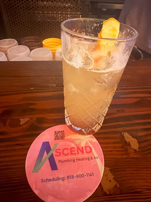 BottleOpenersNow.Com - Super Absorbent Bar Coaster