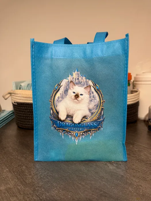 BottleOpenersNow.Com - Custom Small Gift Tote Bag