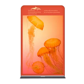 EZ Extend Displays - Bottle Openers Now