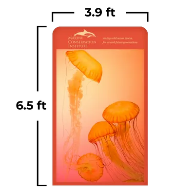 3.9 x 6.5 ft - Bottle Openers Now