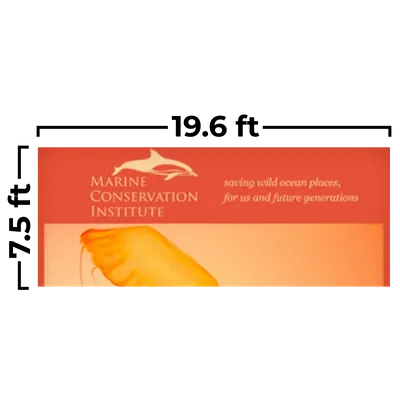 19.6 x 7.5ft - Bottle Openers Now