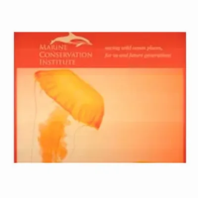 None - Bottle Openers Now