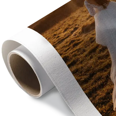 Rolled Canvas Rolled Canvas - Bottle Openers Now