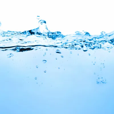 Purified Water From True Mineral Sping (Carribean) Purified Water From True Mineral Sping (Carribean) - Bottle Openers Now