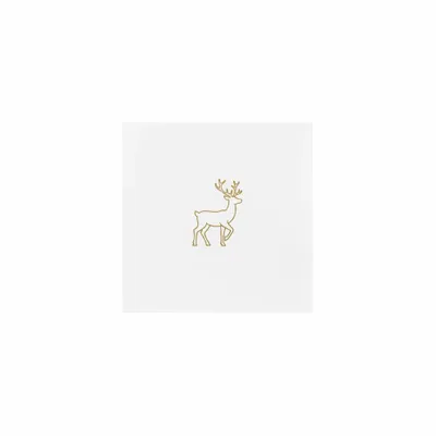 5 in x 5 in - Bottle Openers Now