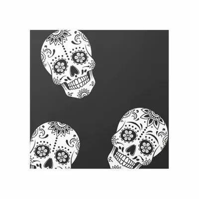 Standard - Bottle Openers Now