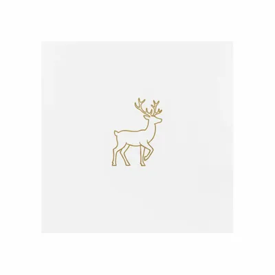 Standard - Bottle Openers Now