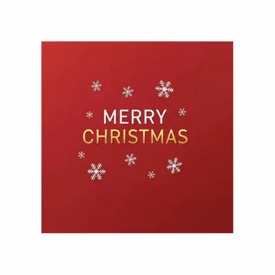 Standard - Bottle Openers Now