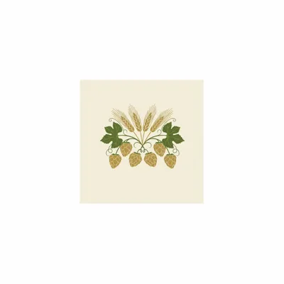 5 in x 5 in - Bottle Openers Now