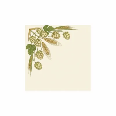 6.5 in x 6.5 in - Bottle Openers Now