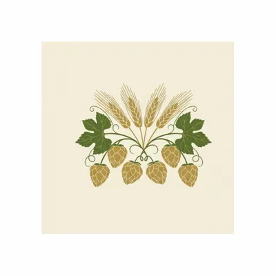 8 in x 8 in - Bottle Openers Now