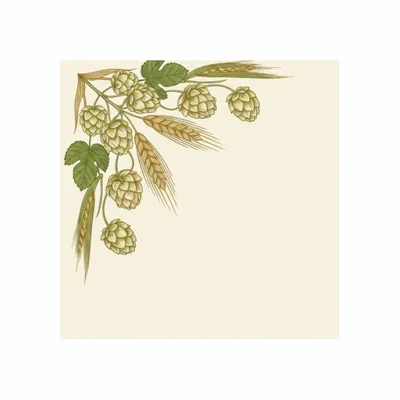 8 in x 8 in - Bottle Openers Now