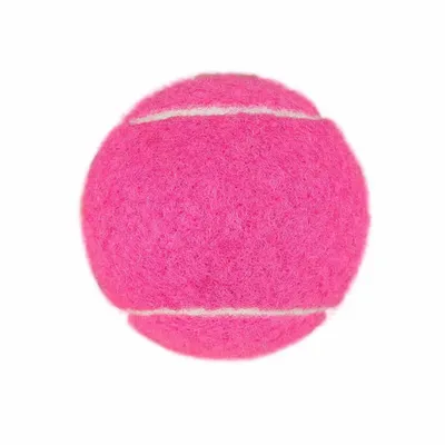 Fuchsia - Bottle Openers Now