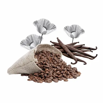 Black Opium - Bottle Openers Now