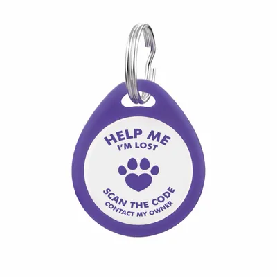 Blue - Bottle Openers Now