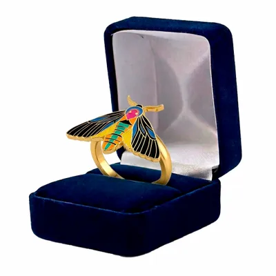 Blue Velvet Box - Bottle Openers Now