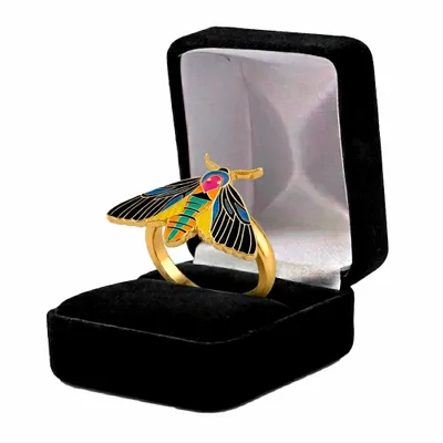 Black Velvet Box - Bottle Openers Now