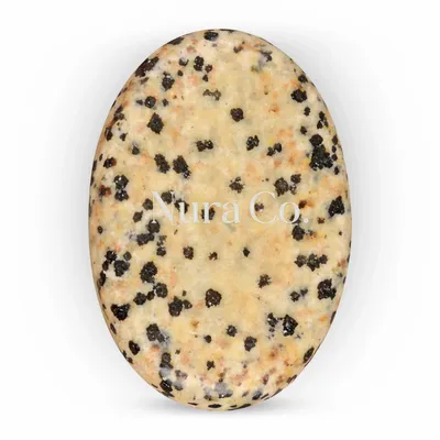 Dalmatian - Bottle Openers Now