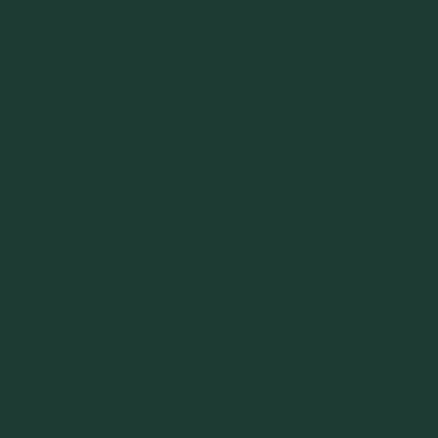 Dark Green - Bottle Openers Now