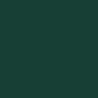 Forest Green - Bottle Openers Now
