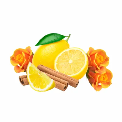 Amber - Bottle Openers Now